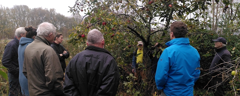 foto snoeicursus fruitbomen
